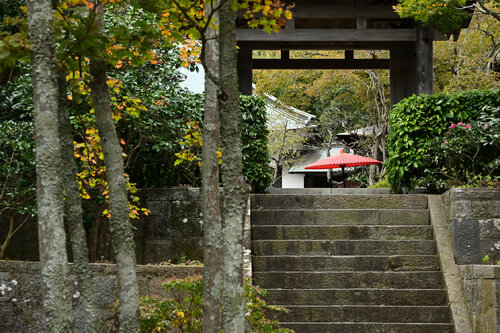 Once Upon a Time in Kaizoji by Anatoliy Anshin, Photography for Sale on Singulart