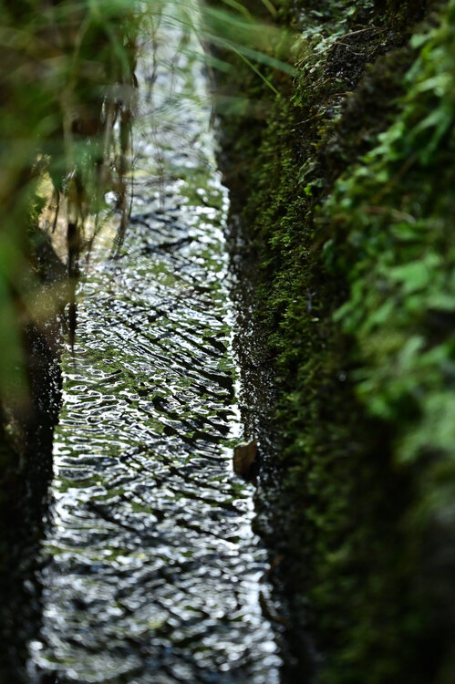 Infinite Path Anatoliy Anshin