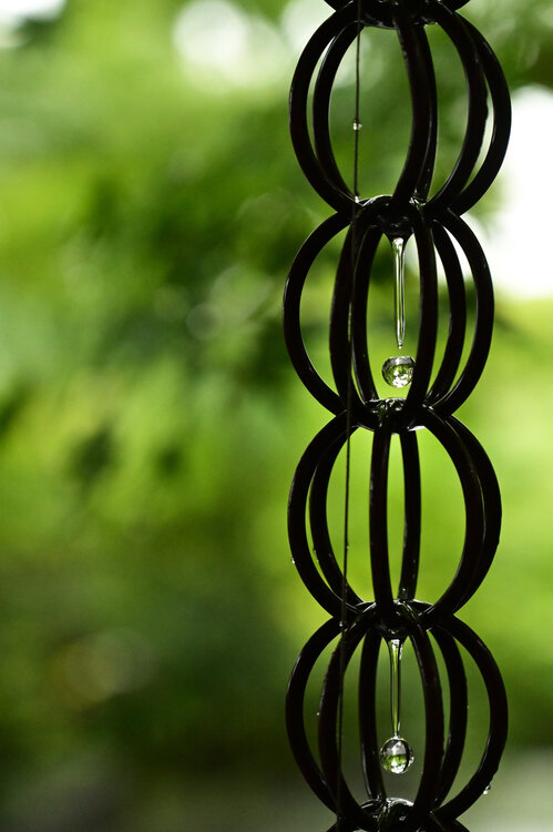 Infinity 5 Anatoliy Anshin