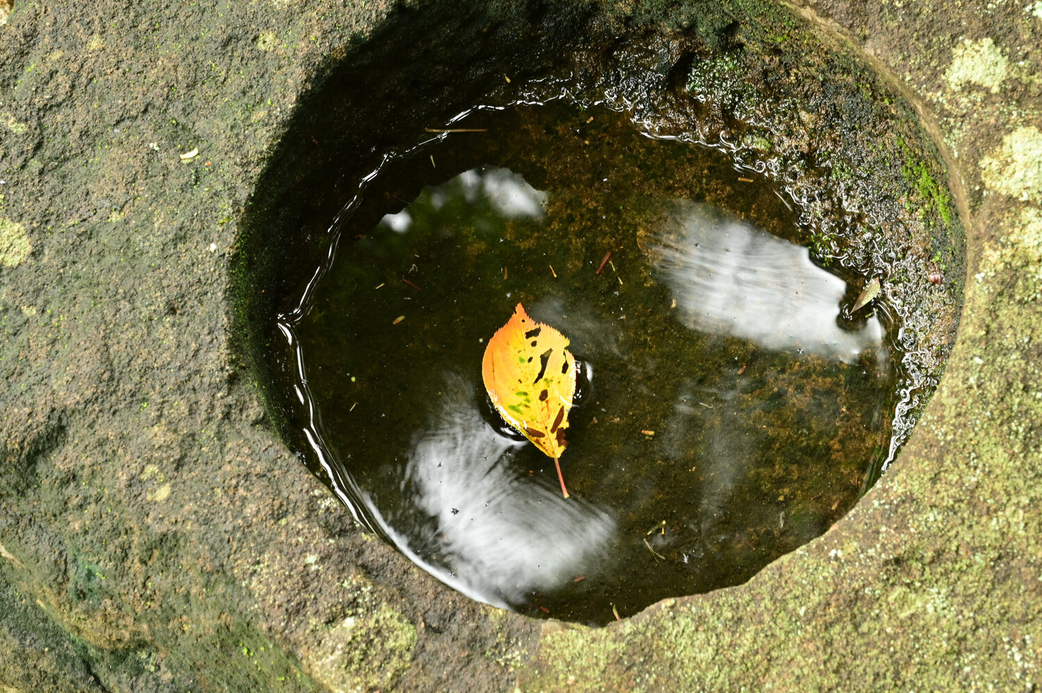 The Moment of Truth Anatoliy Anshin Fotografie zu verkaufen