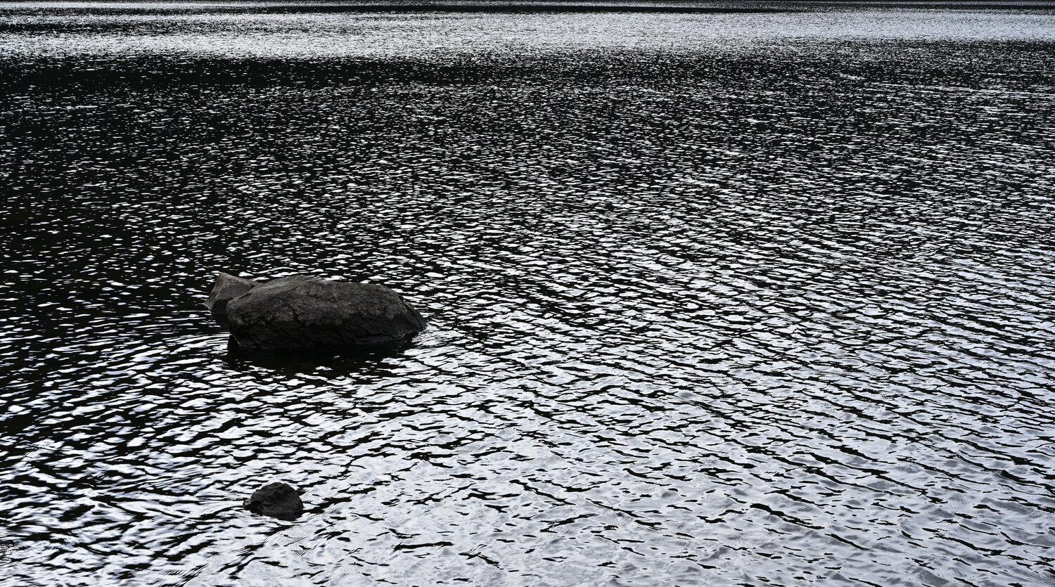 Conversations with Lake Ashinoko 37 Anatoliy Anshin