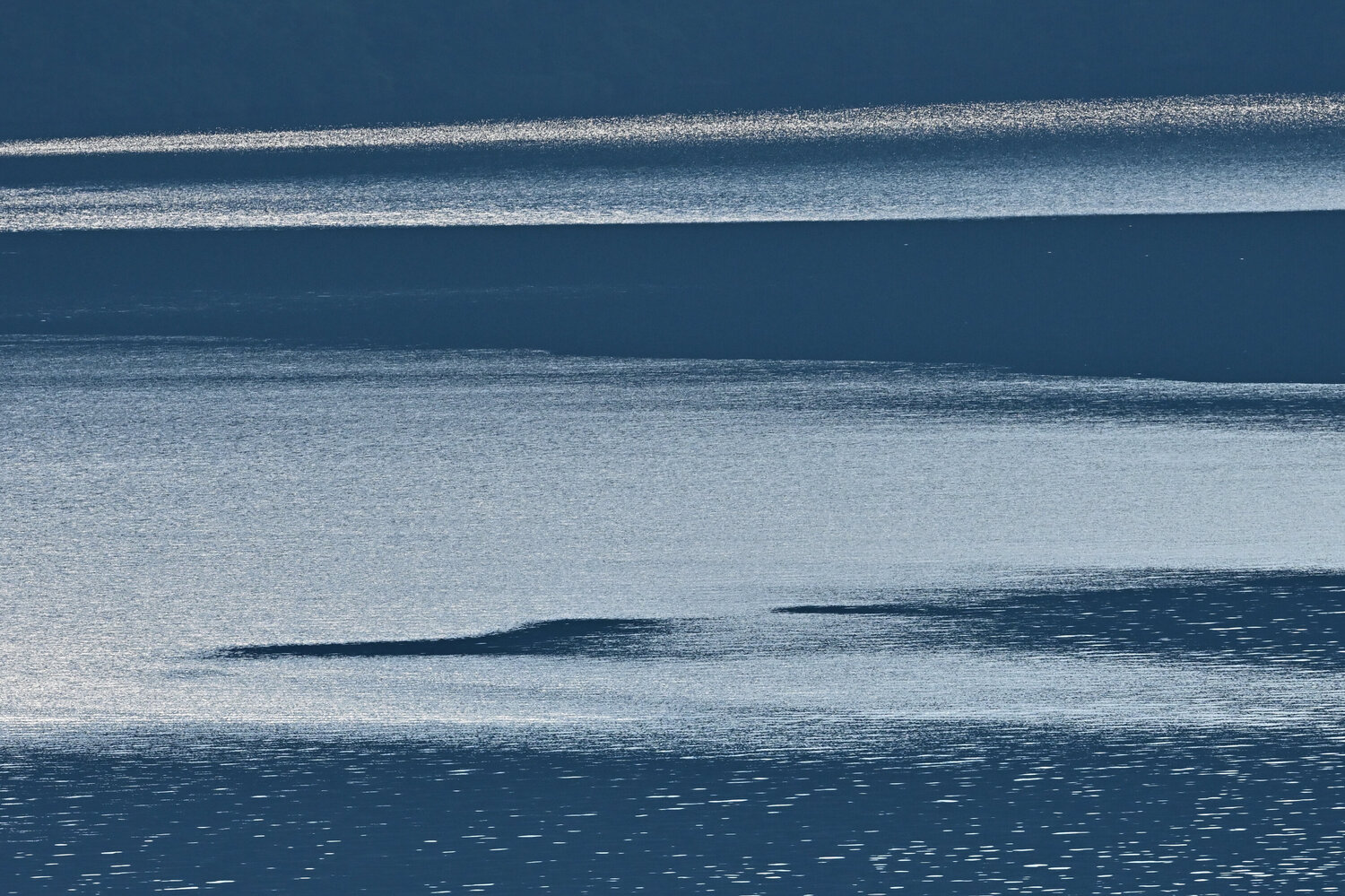 Lake Ashinoko Abstraction 2 Anatoliy Anshin