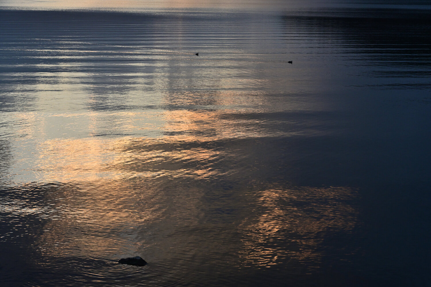 Yamanakako Reflections 2 Anatoliy Anshin