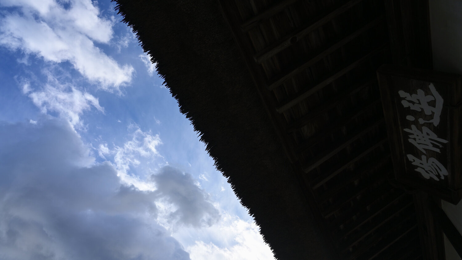 The Choice is Yours 2 Anatoliy Anshin