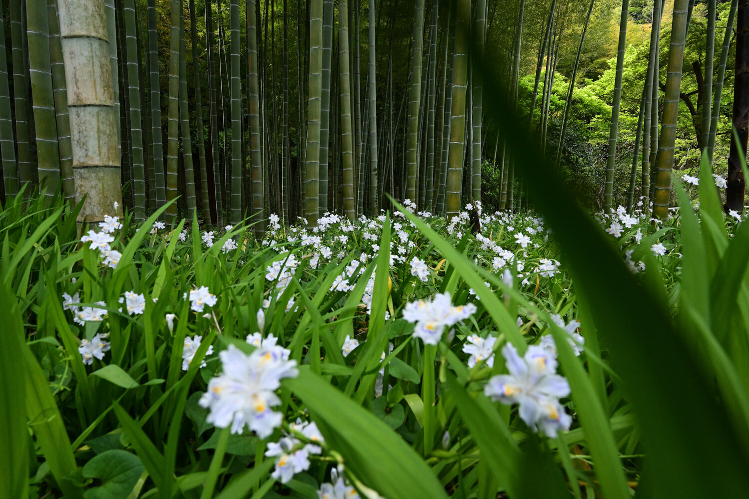 Unexplored Realms 15 Anatoliy Anshin