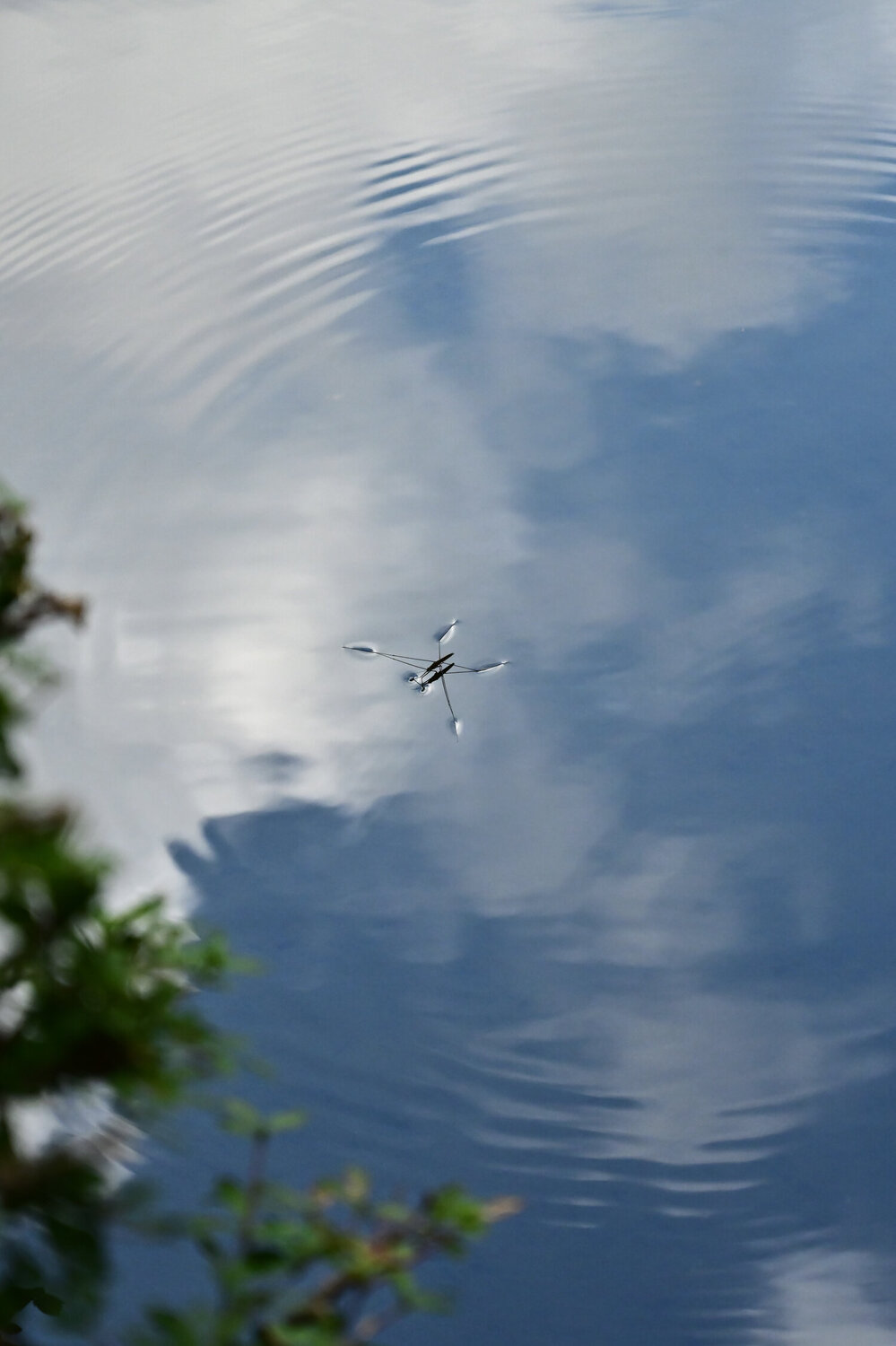 Everyone Has Their Own Sky Anatoliy Anshin