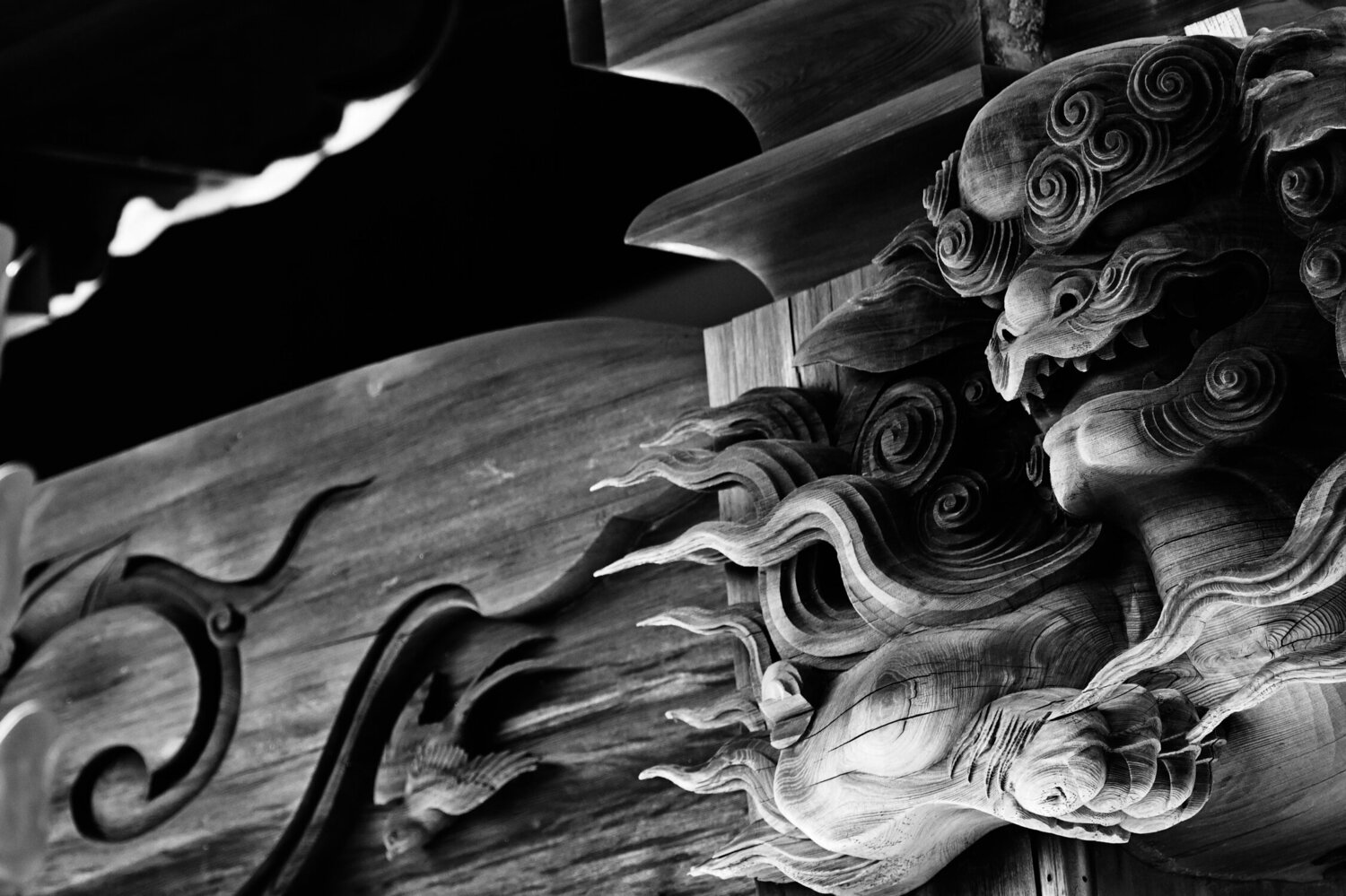 Josenji Lion Anatoliy Anshin