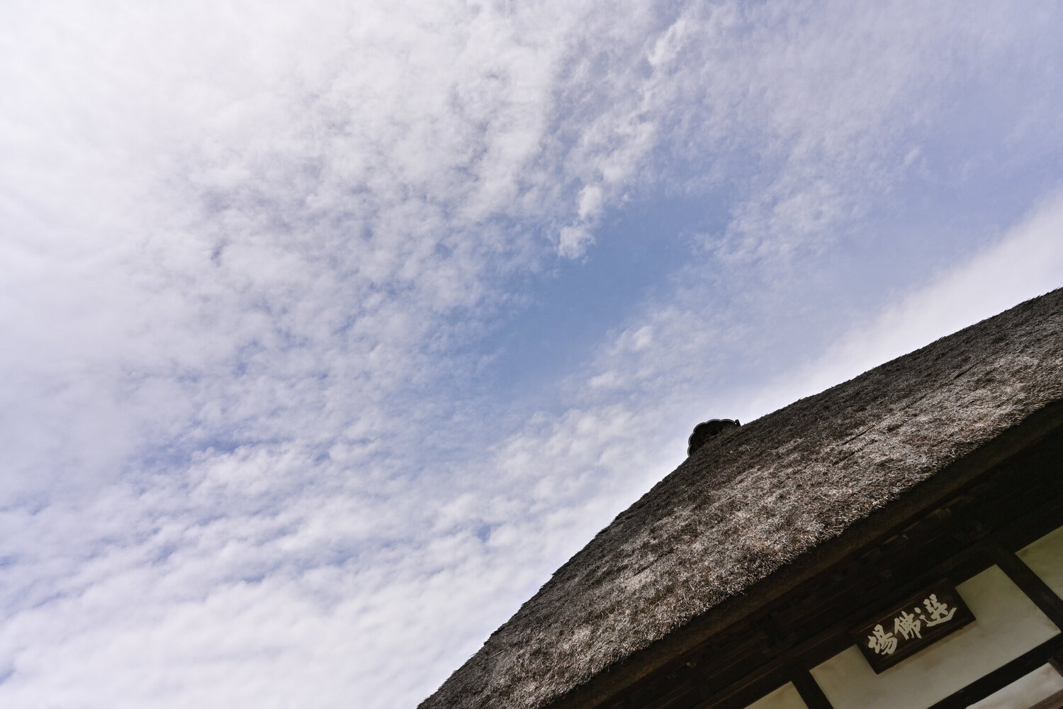 The Choice is Yours Anatoliy Anshin