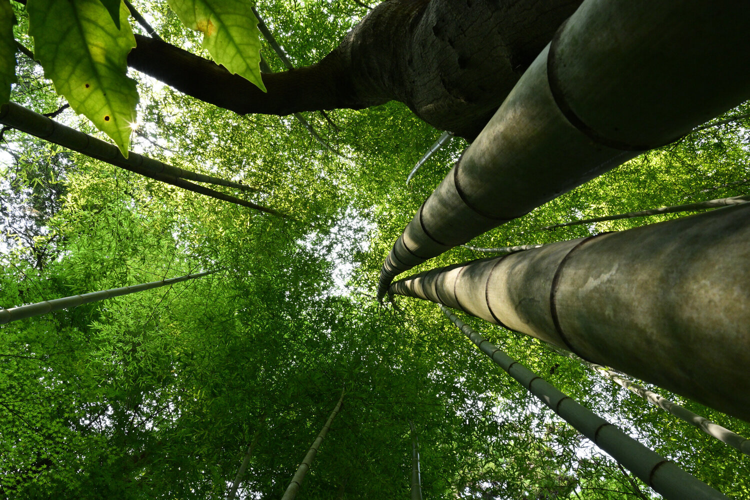 Unexplored Realms 17 Anatoliy Anshin