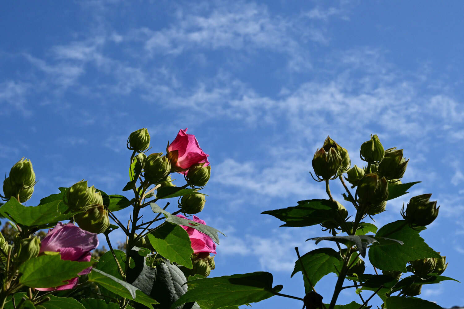 Everyone Has Their Own Sky 2 Anatoliy Anshin