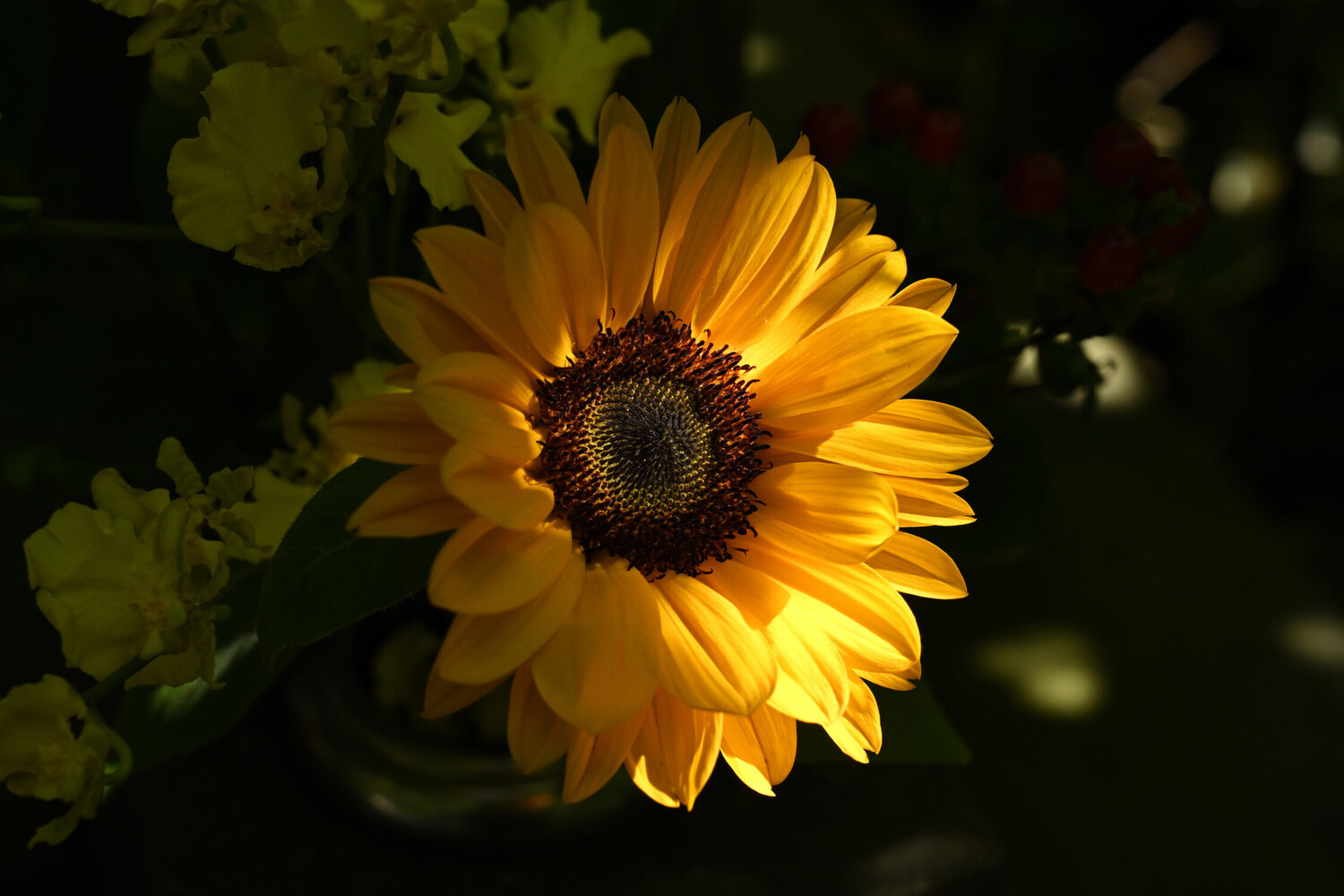 If There is Dark, There Should Be Light Anatoliy Anshin