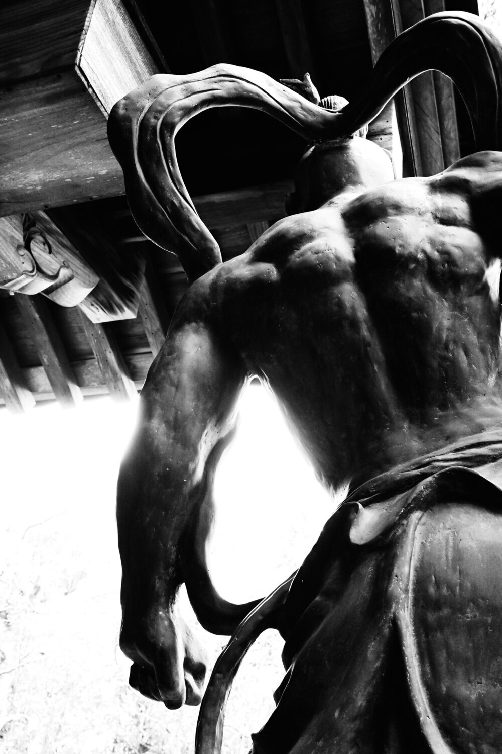 The Muscles of the Soul Anatoliy Anshin Fotografie zu verkaufen