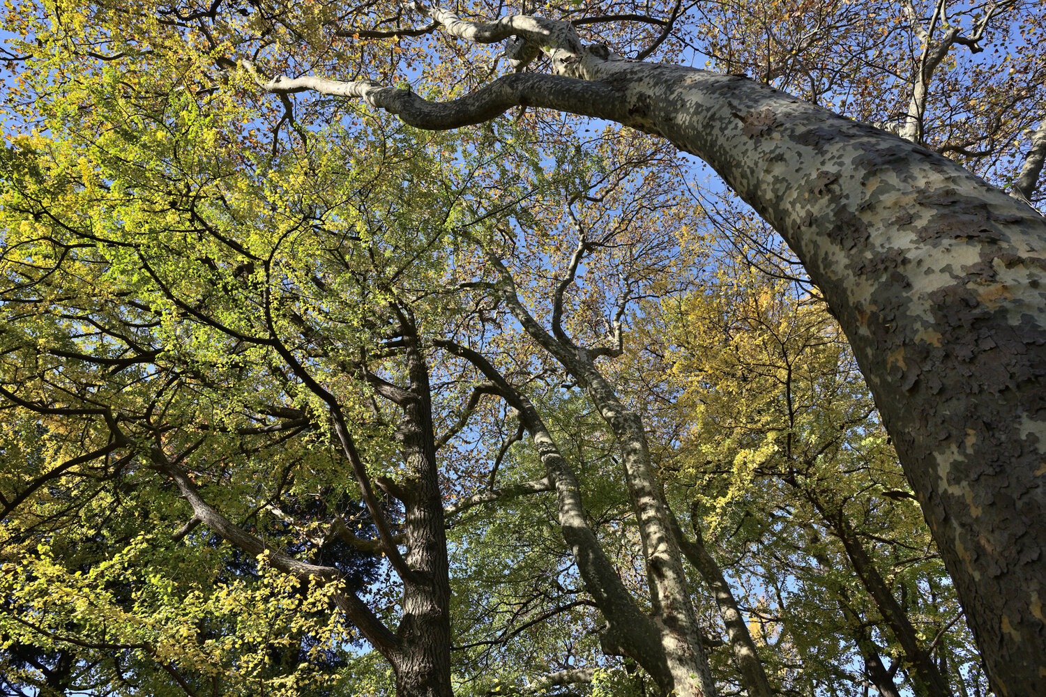 They Also Have a Soul 5 Anatoliy Anshin