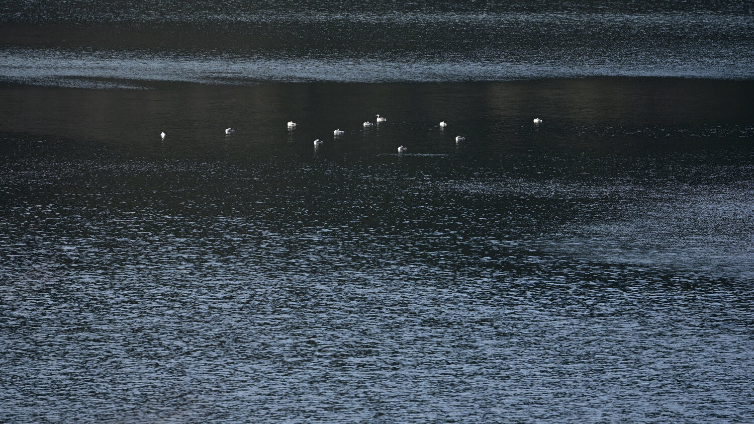 Conversations with Lake Ashinoko 36 Anatoliy Anshin