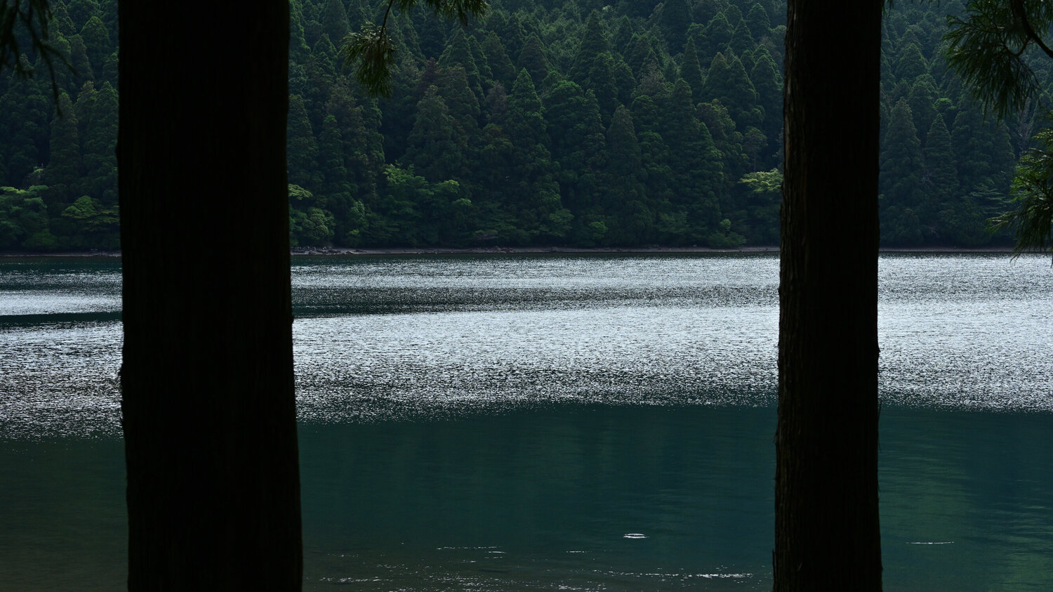 Conversations with Lake Ashinoko 44 Anatoliy Anshin