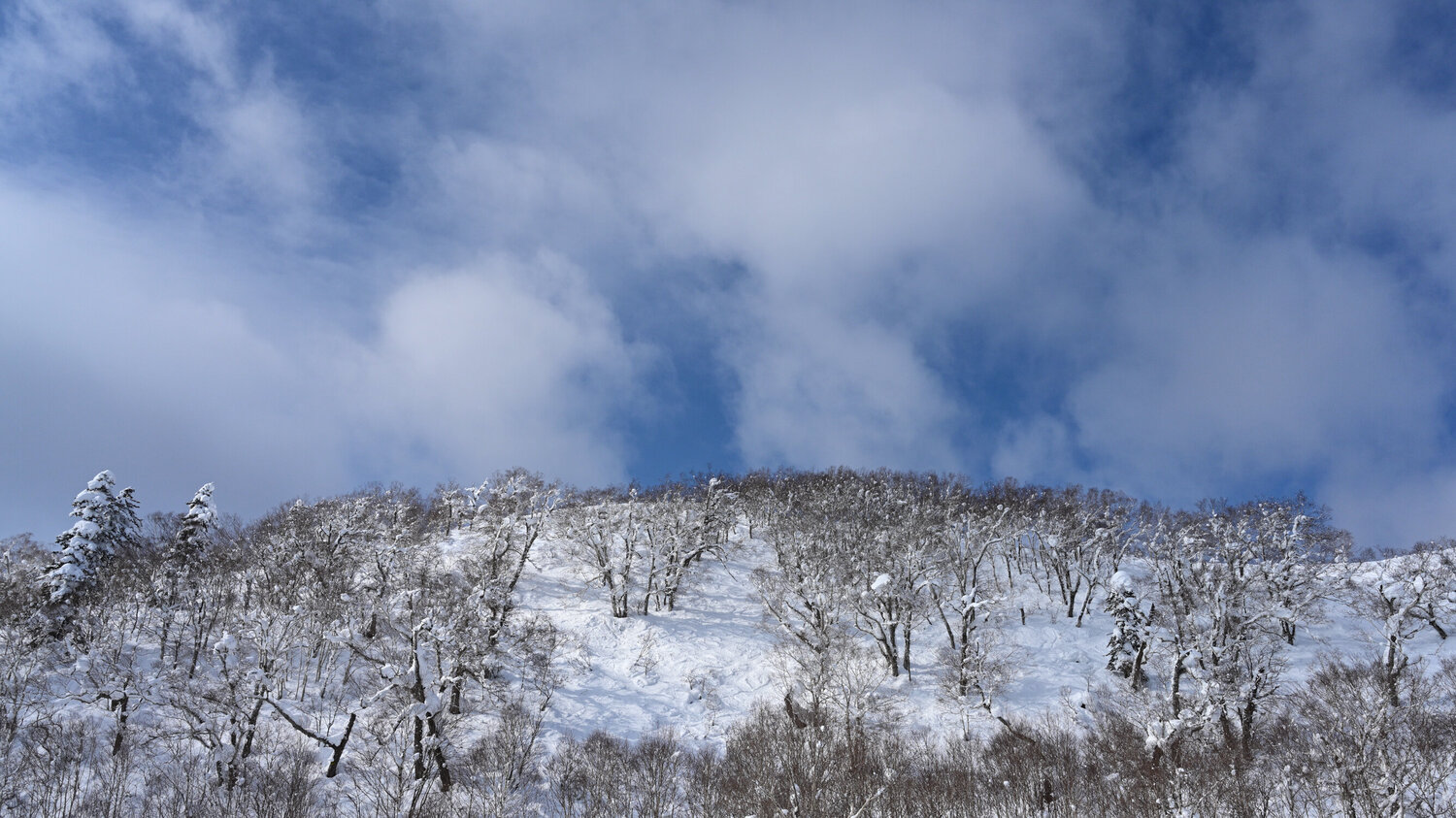Where the Earth Meets the Sky Anatoliy Anshin