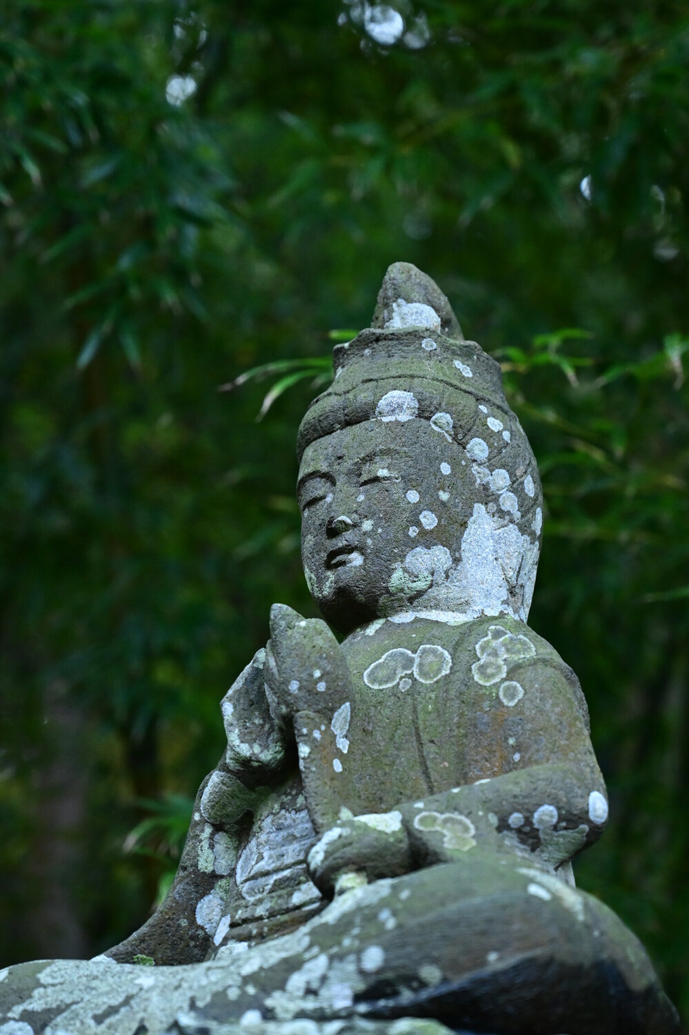 Dedication 2 Anatoliy Anshin