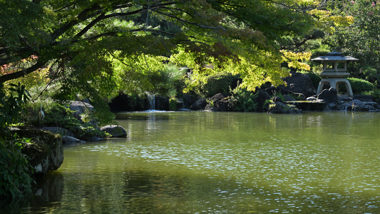 Speechless Scene 2 Anatoliy Anshin