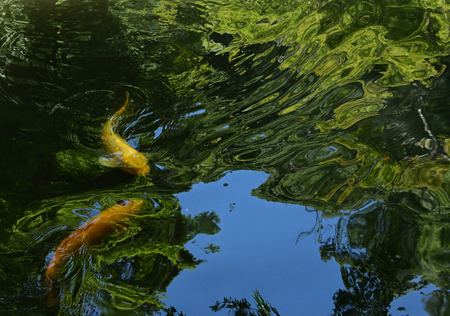 Divine Dynamics Anatoliy Anshin