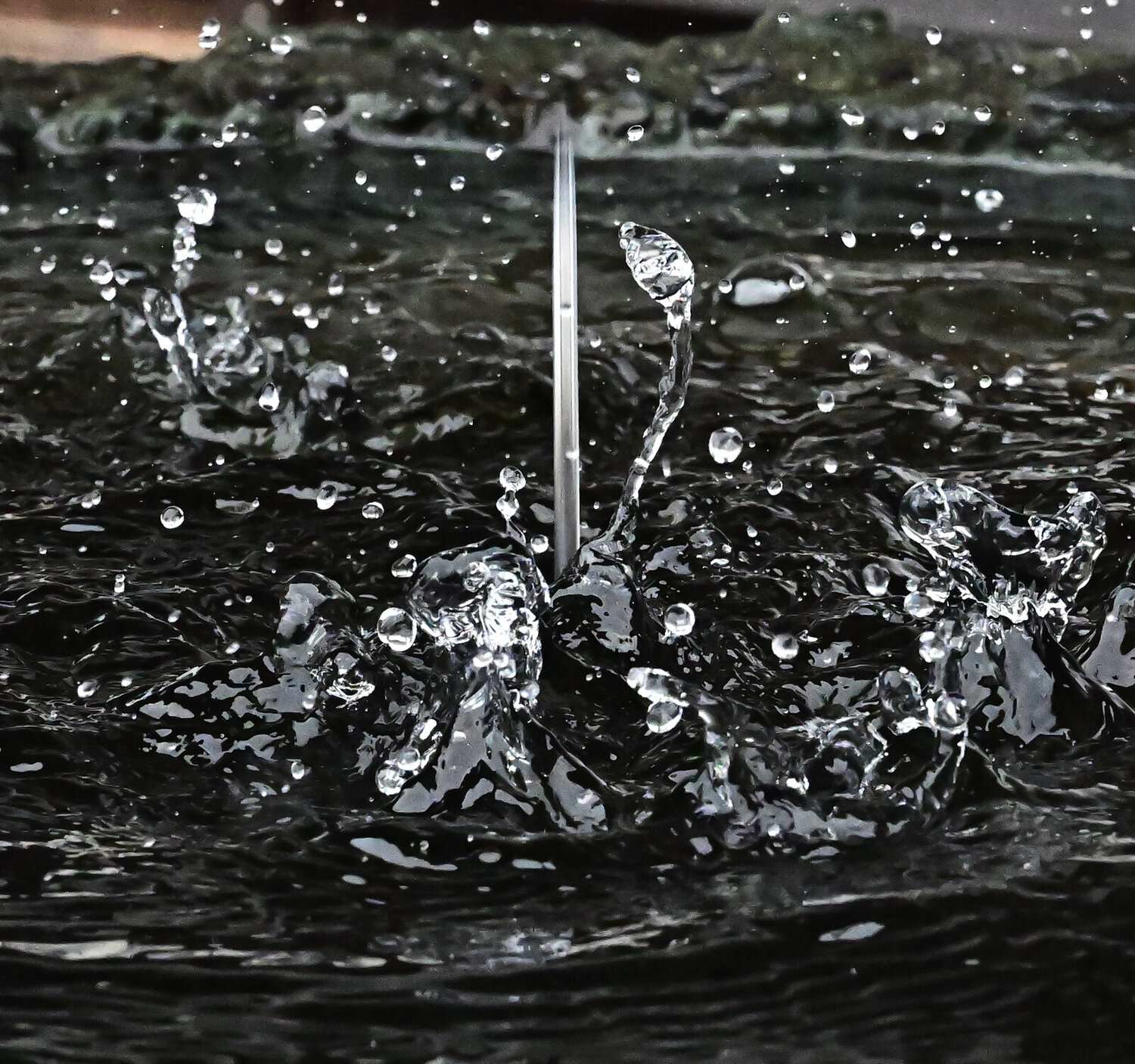 The Dragon and the Blade Anatoliy Anshin