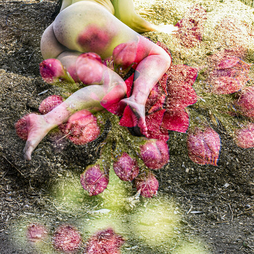 Sueño de rosas von Silvina Batista, Fotografie kaufen auf Singulart