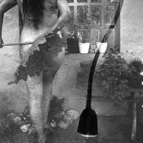Una mañana en mi jardin by Silvina Batista, Photography for Sale on Singulart