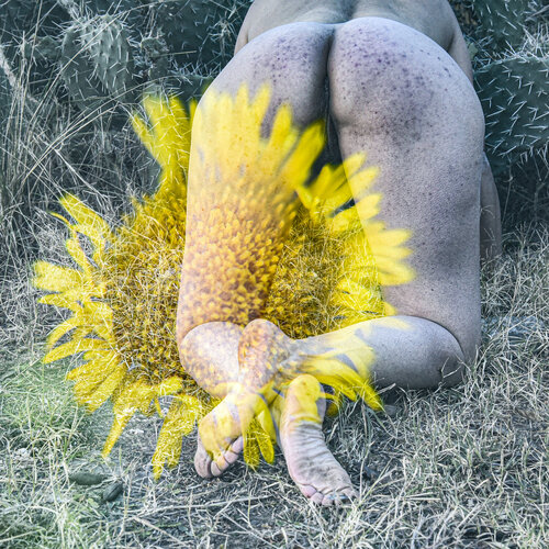 Amarillo von Silvina Batista, Fotografie kaufen auf Singulart