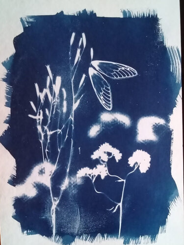 Cyanotype "Chicharra" von Silvina Batista, Fotografie kaufen auf Singulart