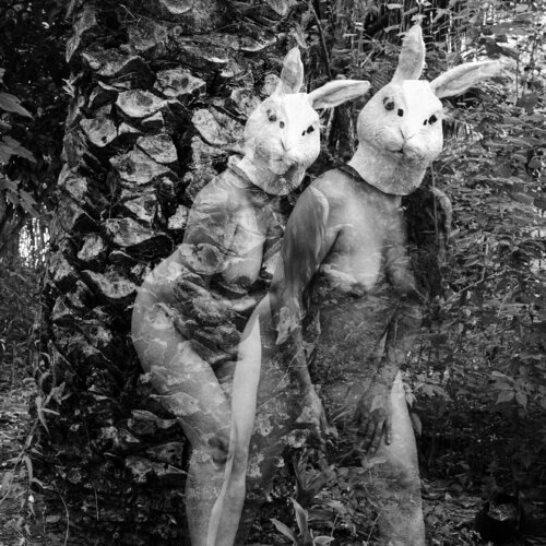 Gemelas di Silvina Batista, Fotografia in vendita su Singulart