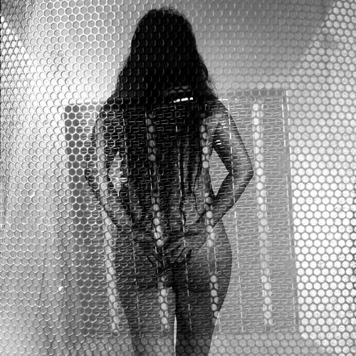 Panal de Silvina Batista, Fotografía a la venta en Singulart