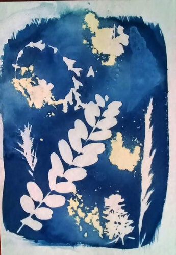Cyanotype "Verano" van Silvina Batista, Fotografie te koop op Singulart