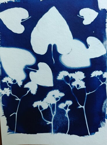 Cyanotype "Hearts" van Silvina Batista, Fotografie te koop op Singulart