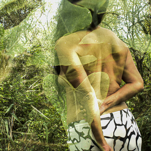 Corazon natural Silvina Batista