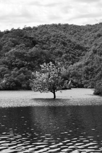 Strength di Silvina Batista, Fotografia in vendita su Singulart