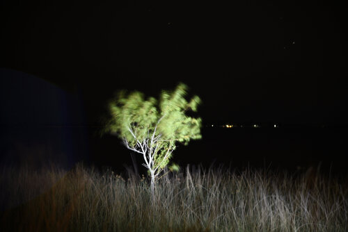 Laguna de Chascomus de noche Silvina Batista