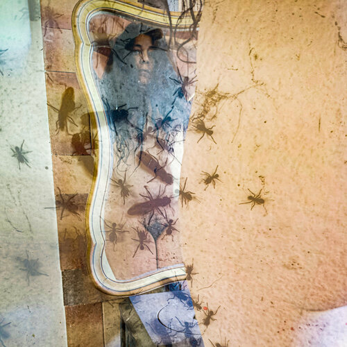 Como una Hormiga van Silvina Batista, Fotografie te koop op Singulart