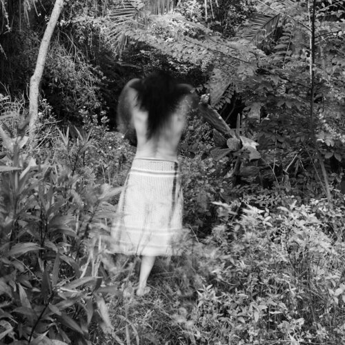 Nature in motion Silvina Batista