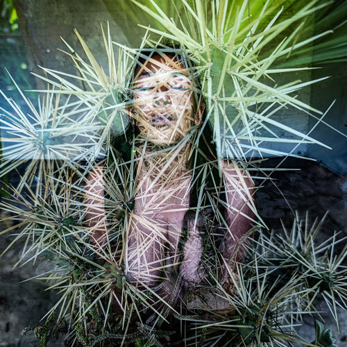 Pachamama van Silvina Batista, Fotografie te koop op Singulart