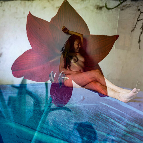 Flor roja von Silvina Batista, Fotografie kaufen auf Singulart