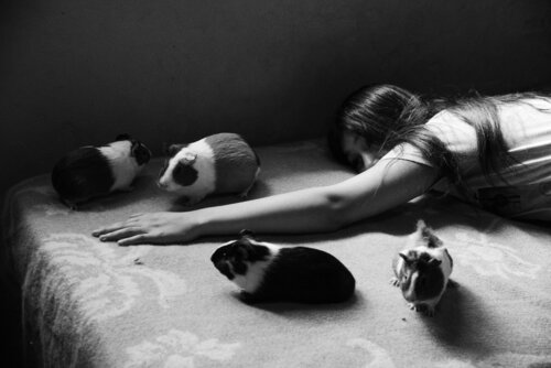 Malena and her guinea pigs von Silvina Batista, Fotografie kaufen auf Singulart