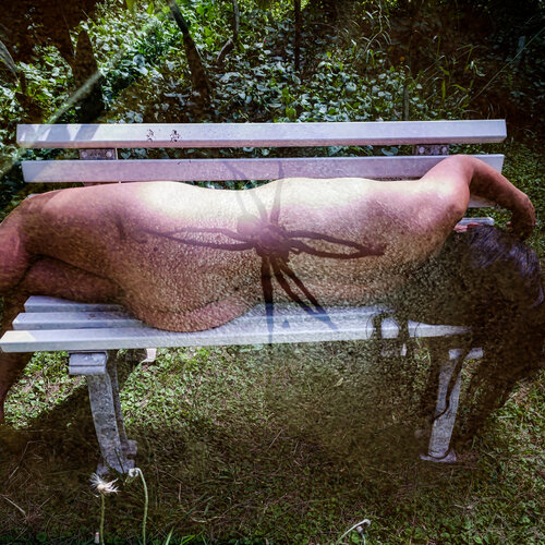 Spider Woman Silvina Batista