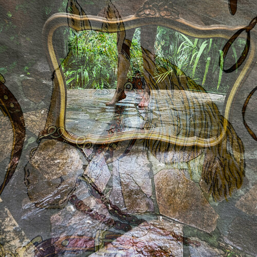 Piernas de yegua van Silvina Batista, Fotografie te koop op Singulart