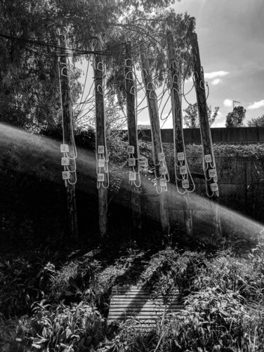 Interconnection von Silvina Batista, Fotografie kaufen auf Singulart