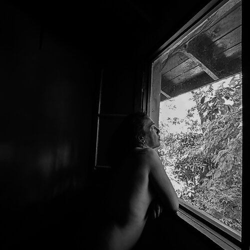 One day in january Silvina Batista