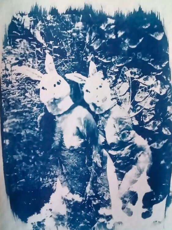 Cyanotype "Gemelas en Cyan" Silvina Batista