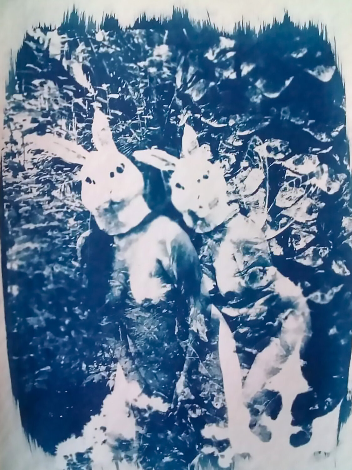 Cyanotype "Gemelas en Cyan" Silvina Batista