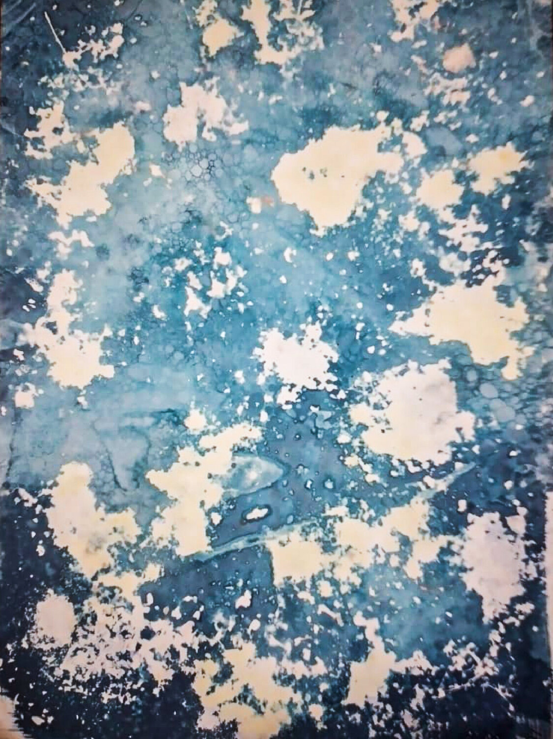Cianotipo "Universo" Silvina Batista
