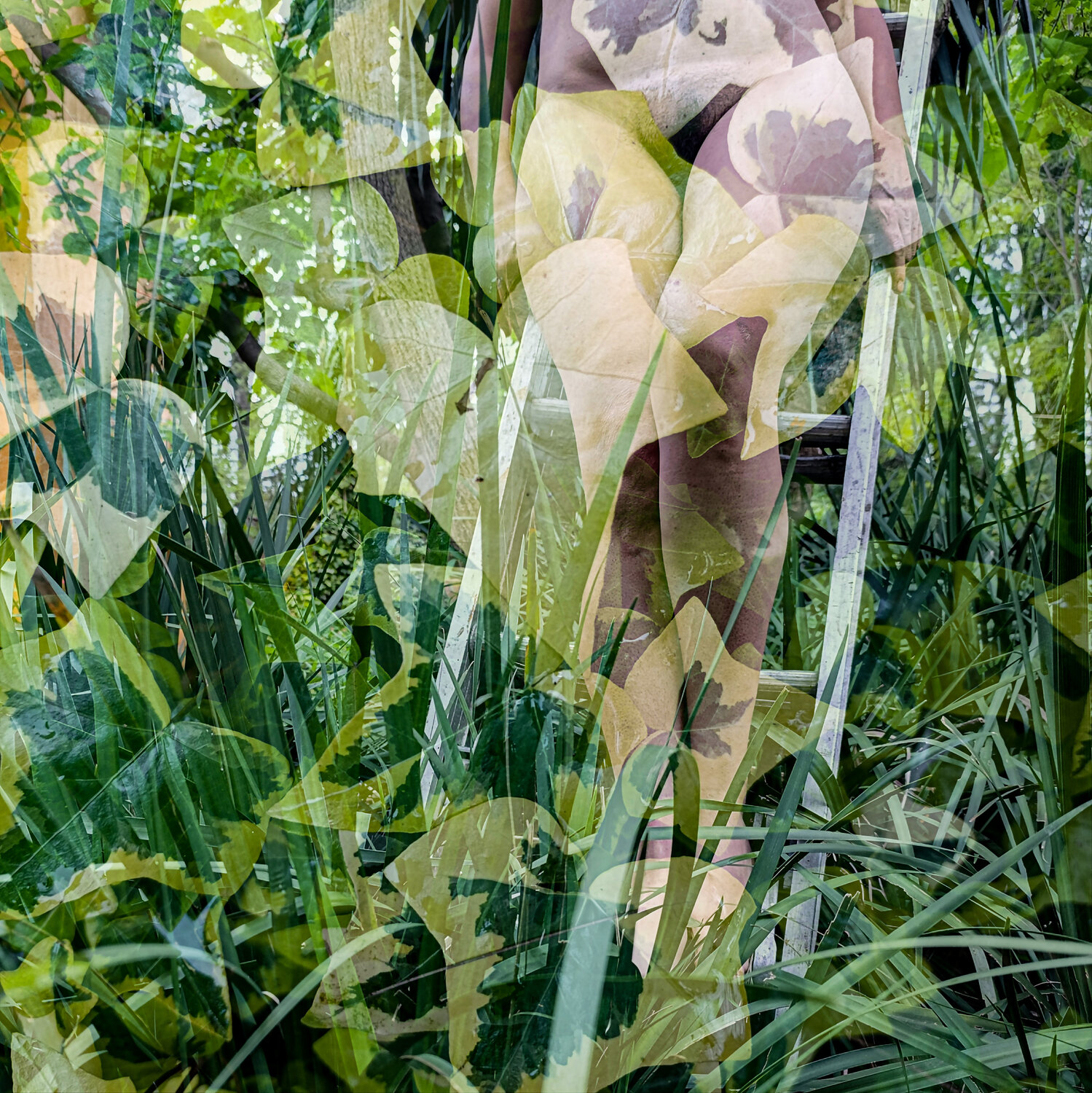 Green glow Silvina Batista
