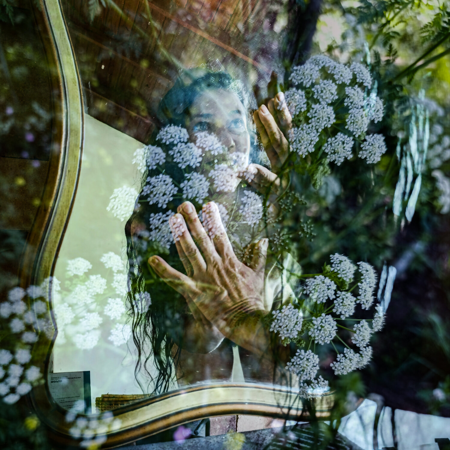 Hands and flowers Silvina Batista
