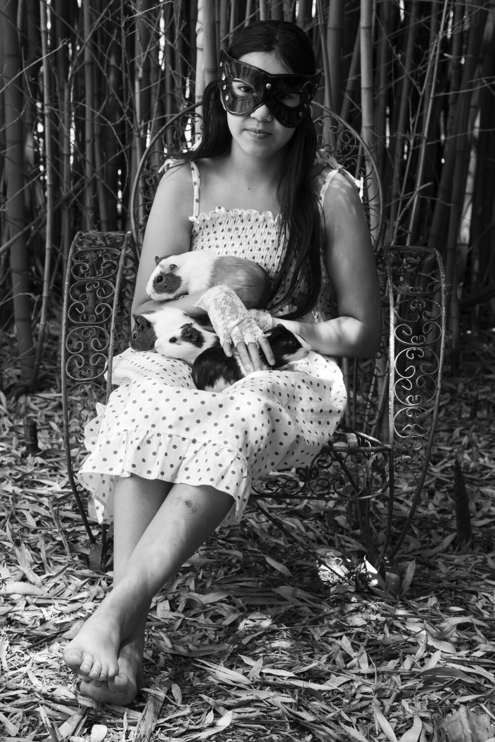 Mystery and guinea pigs Silvina Batista